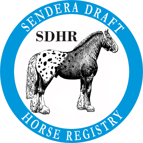 SDHR logo